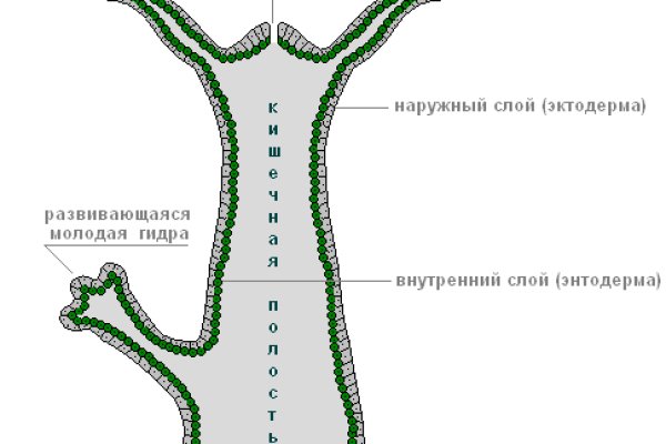 Omg официальный сайт ссылка через tor