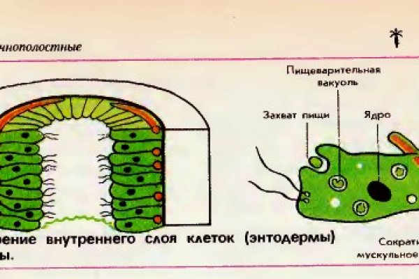 Ссылки даркнета